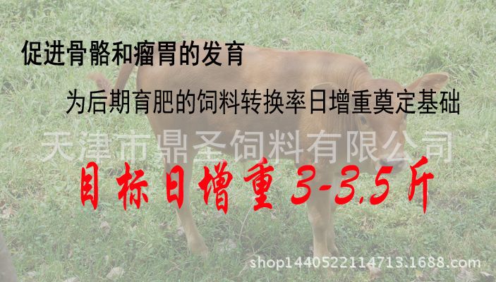 2、育肥牛每天需要多少飼料/肉牛每天吃多少飼料